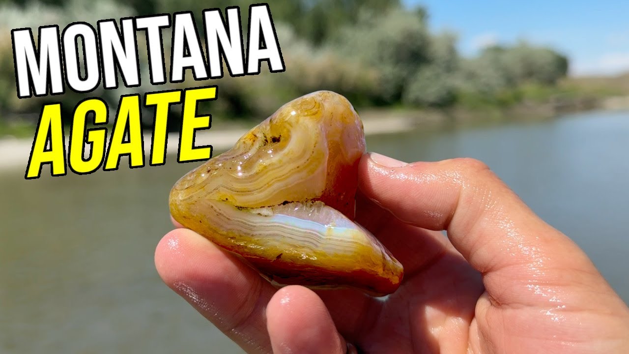 Rockhounding Dreams DO COME TRUE!!!