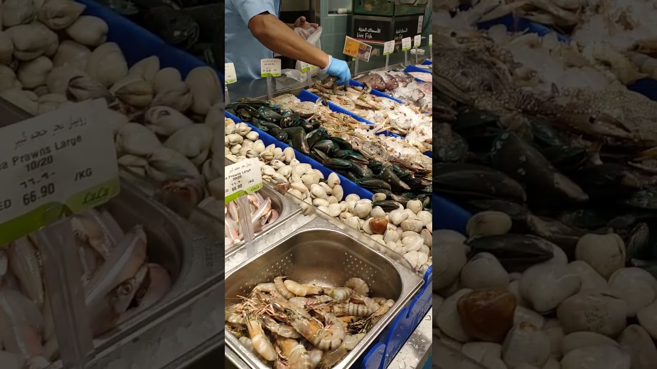 Variety of fish in LuLu #lulu #fish #alwahdamall #uae #uaelife #food @YatSyoutubechannel