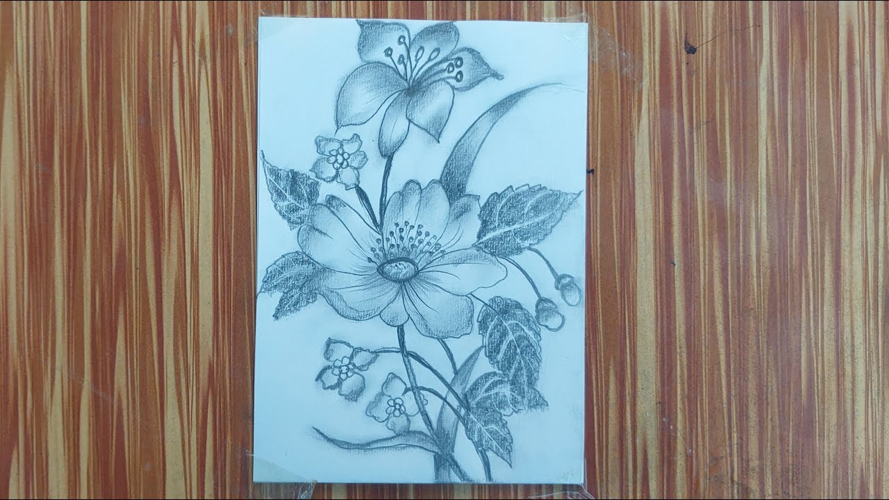 Beautiful Flower Pencil Sketch Drawing | Easy Floral Pencil Art | Asma Pencil Art