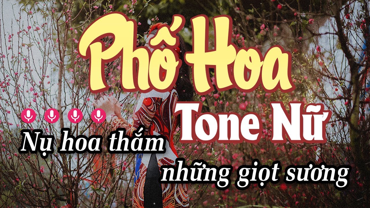 Karaoke Phố Hoa Tone Nữ - Nhạc Xuân 2025