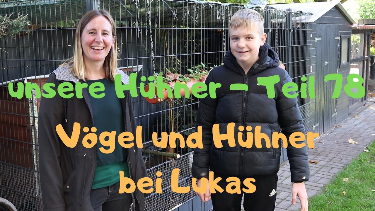 Teil 78: Lukas und seine Hühner, etc.