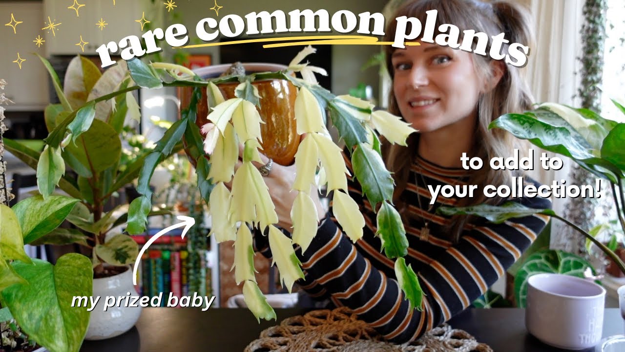 incredible "rare" versions of common houseplants for any collection 🌿✨