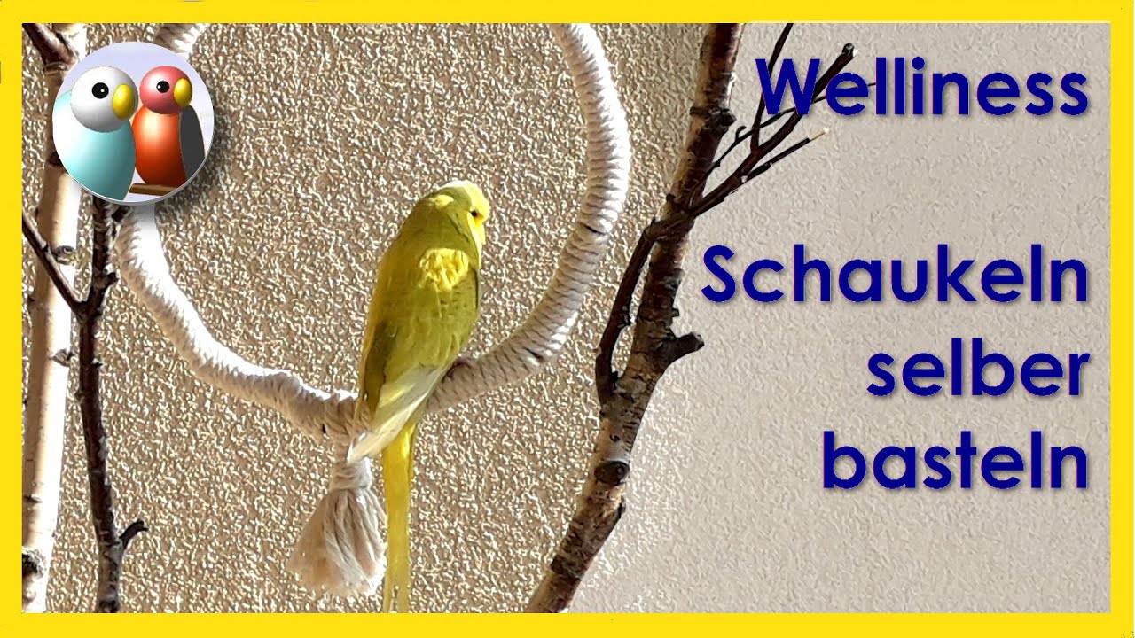 Wie bastelt man Schaukeln und Ringe für Wellensittiche selber? Einfache, schnelle Anleitung 5/70