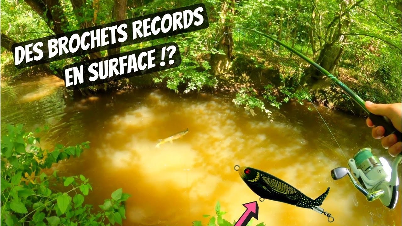 UNE PÊCHE EXCEPTIONNELLE ! MAIS UNE ERREUR QUI ME FAIT PERDRE TRÈS GROS ! (Whopper plopper)