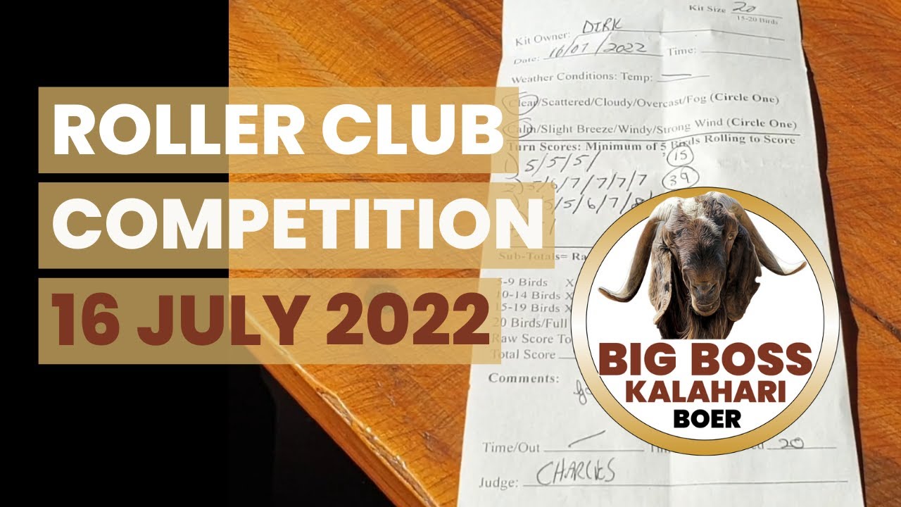 Roller Pigeon Club Competition Video - 16 July