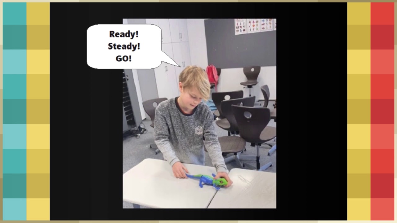 Norway   The European Chain Reaction 2021