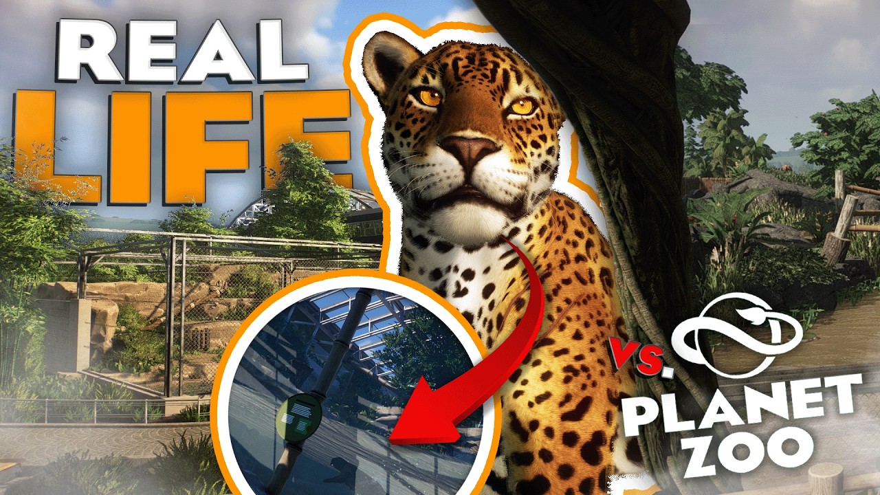 🌴 Building a Jaguar Habitat in Planet Zoo, But I Need To Follow AZA Guidelines