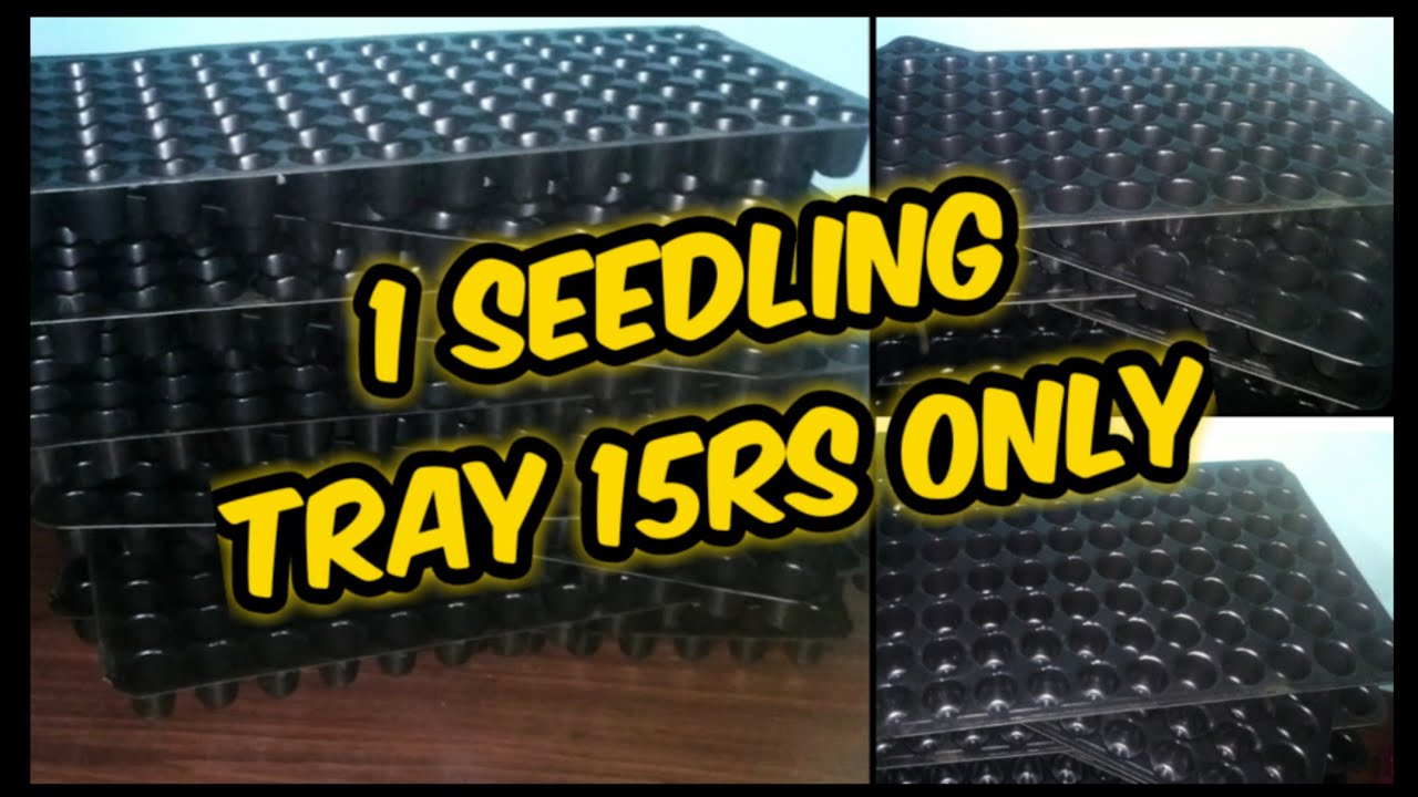 Amazon //unboxing seedling tray // Seedling Tray With 98 Cavity 10 Pieces// pro tray unboxing