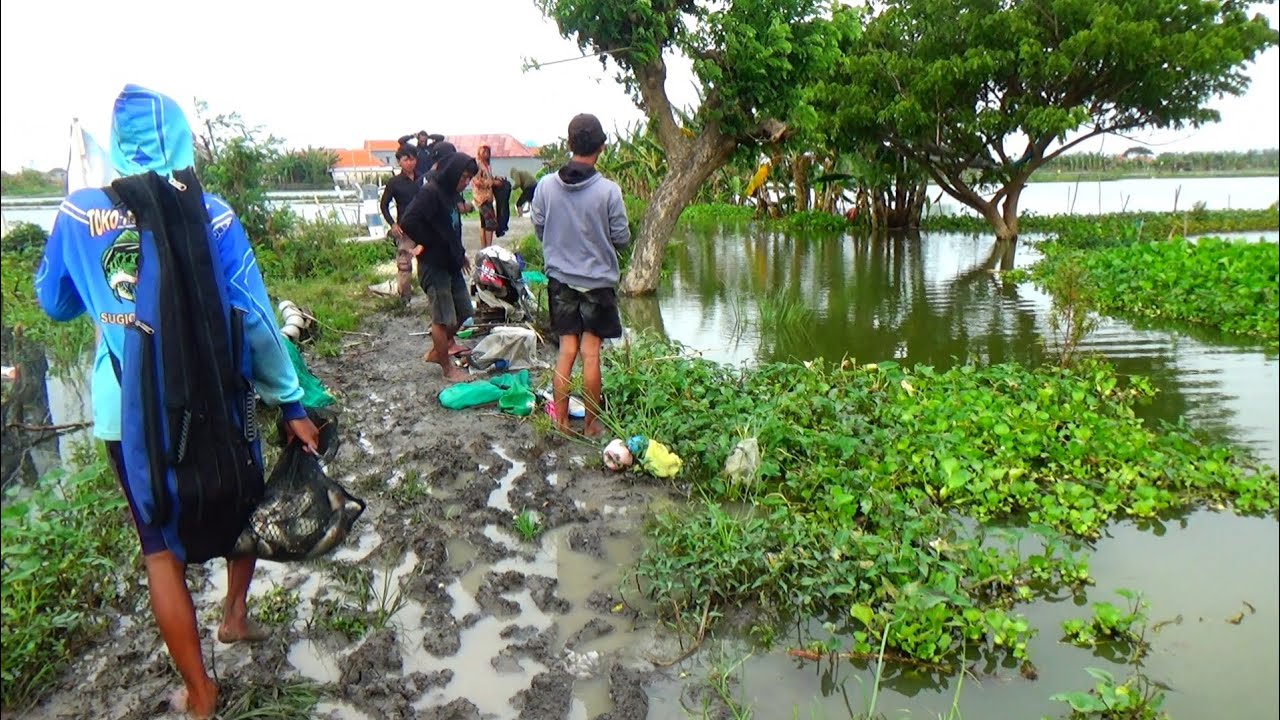 PEMANCING MANA YANG GAK TERGODA HASILNYA MANCING SEPERTI INI, SEKALI MANCING UNTUK MAKAN SEMINGGU