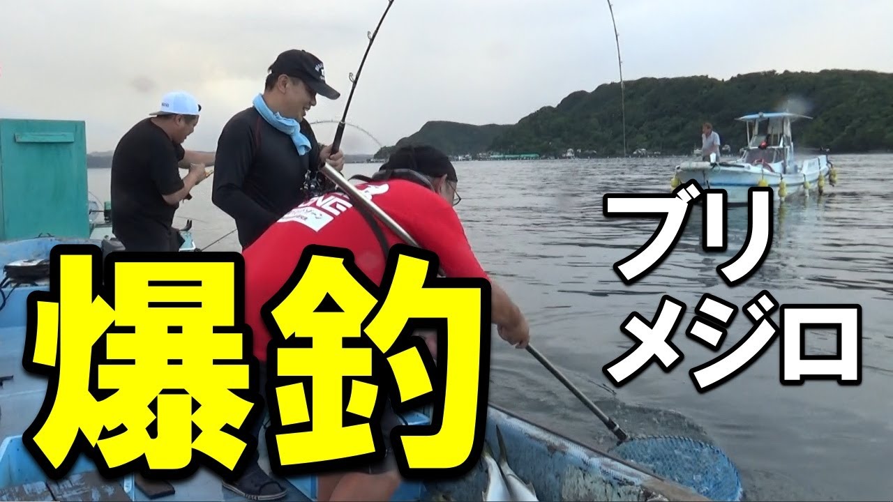 ナンボでも釣れる！イワシフカセのブリ、メジロ