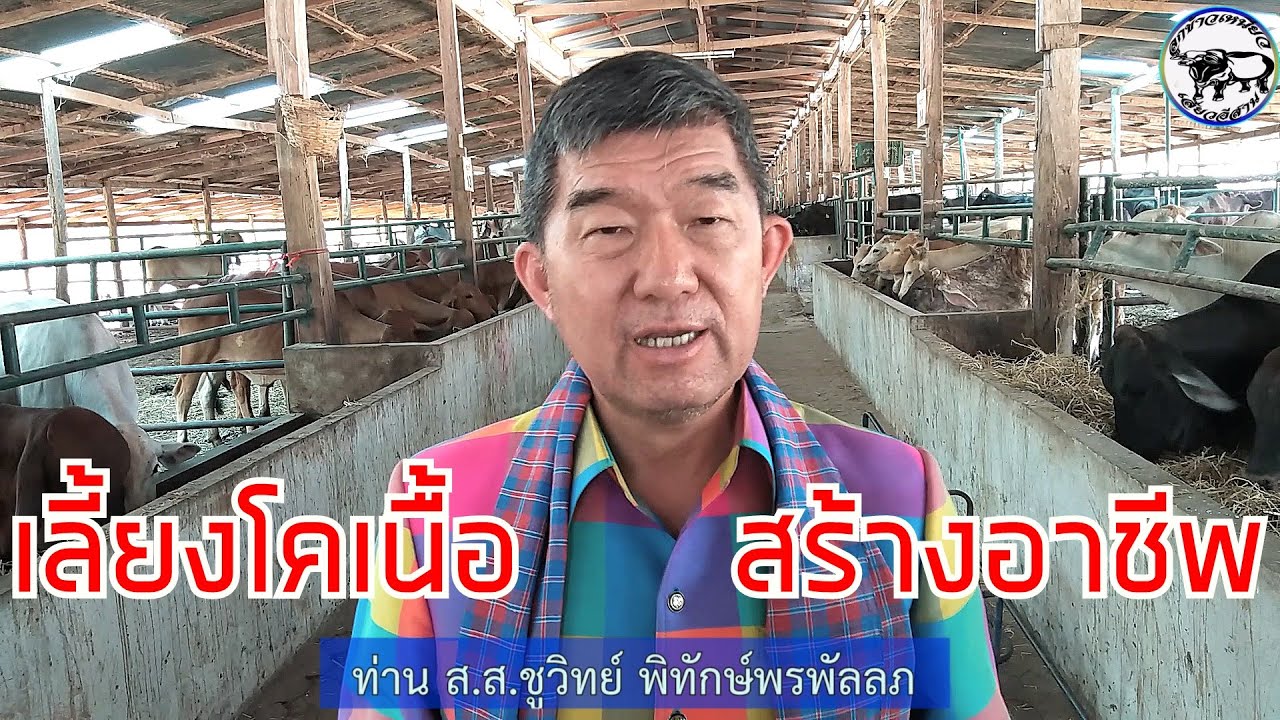 โคเนื้อสร้างอาชีพ แนวคิดและการพัฒนาที่ยั่งยืน ของท่าน ส.ส.ชูวิทย์(กุ่ย) พิทักษ์พรพัลลภ