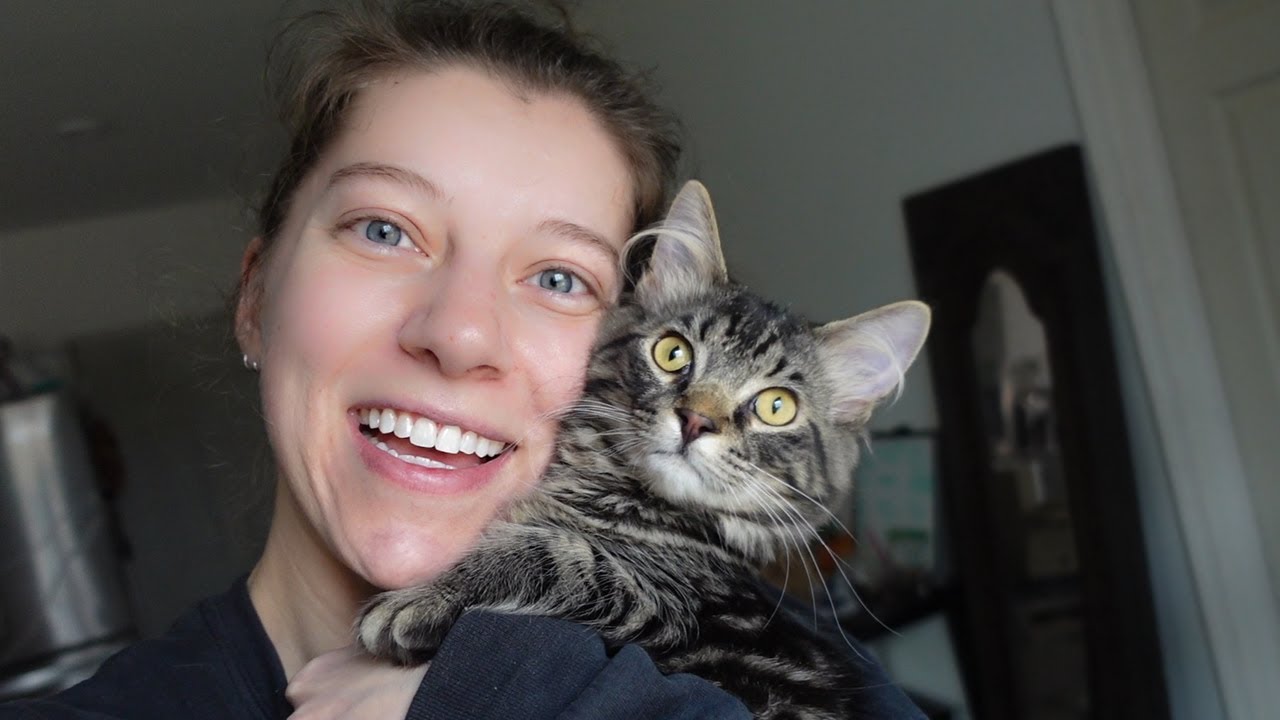 Everest and Thistle's Surgeries, Bathroom Build Update and Kittens! | January 2024 Vlog | Ohcluck
