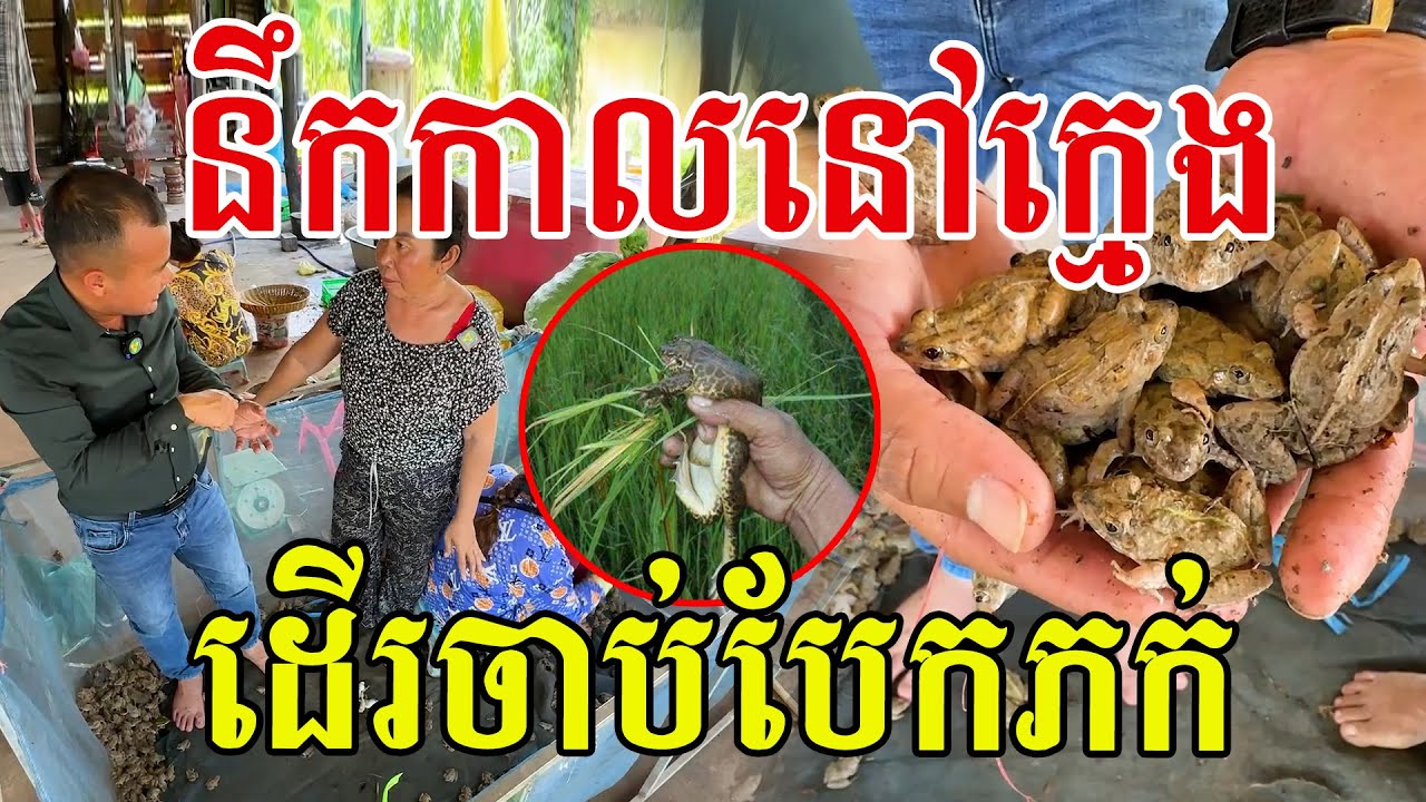 នឹកកាលនៅក្មេង ដើរចាប់ពេញស្រែ គ្រាន់បានរួចម្ហូបមួយពេលៗ