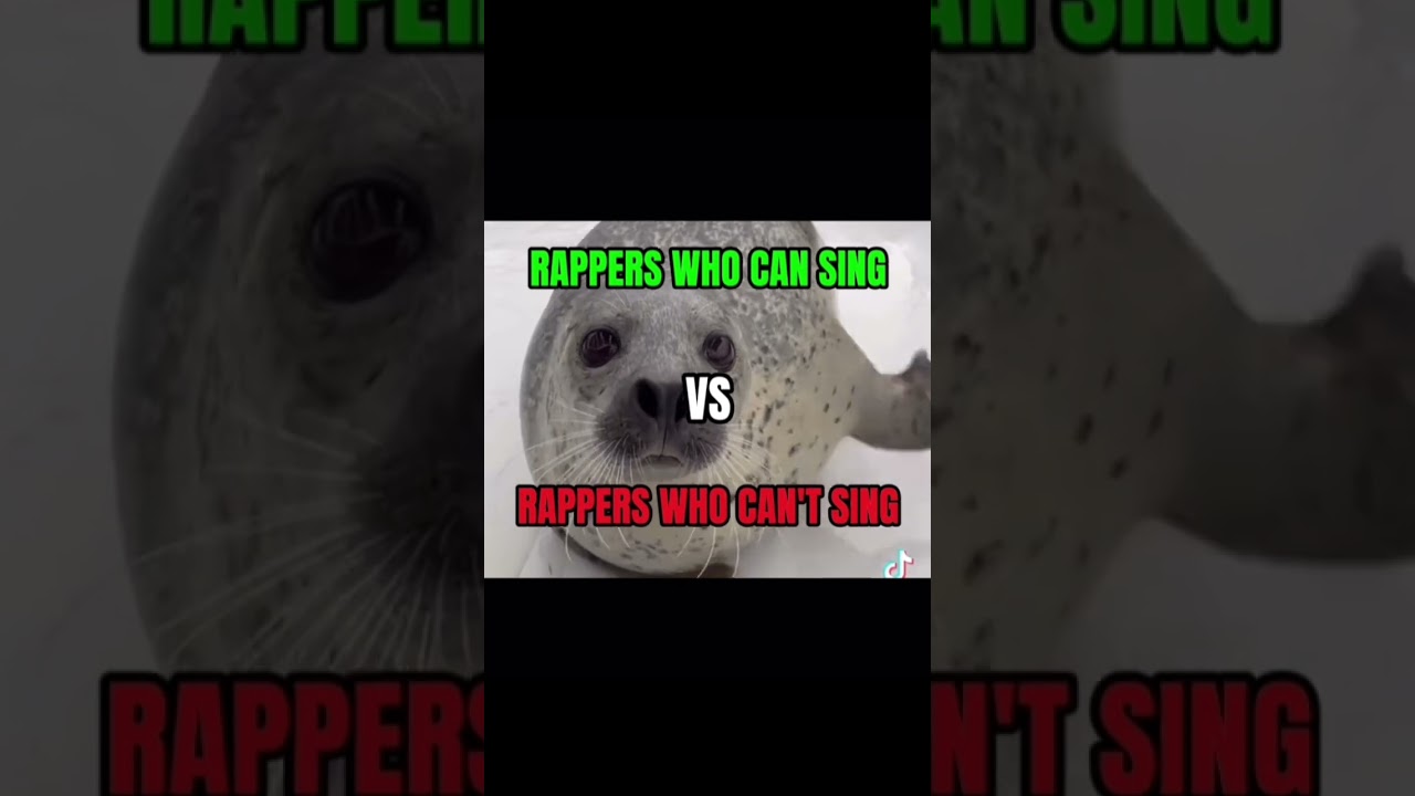 peakest rap battle ever #seals #ironmouse #meme #baikalseal #cute #rappers #rap #song #battle