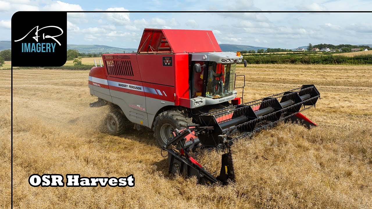 OSR Harvest | Alcorn Farms | Massey Ferguson Centora 7282 AL