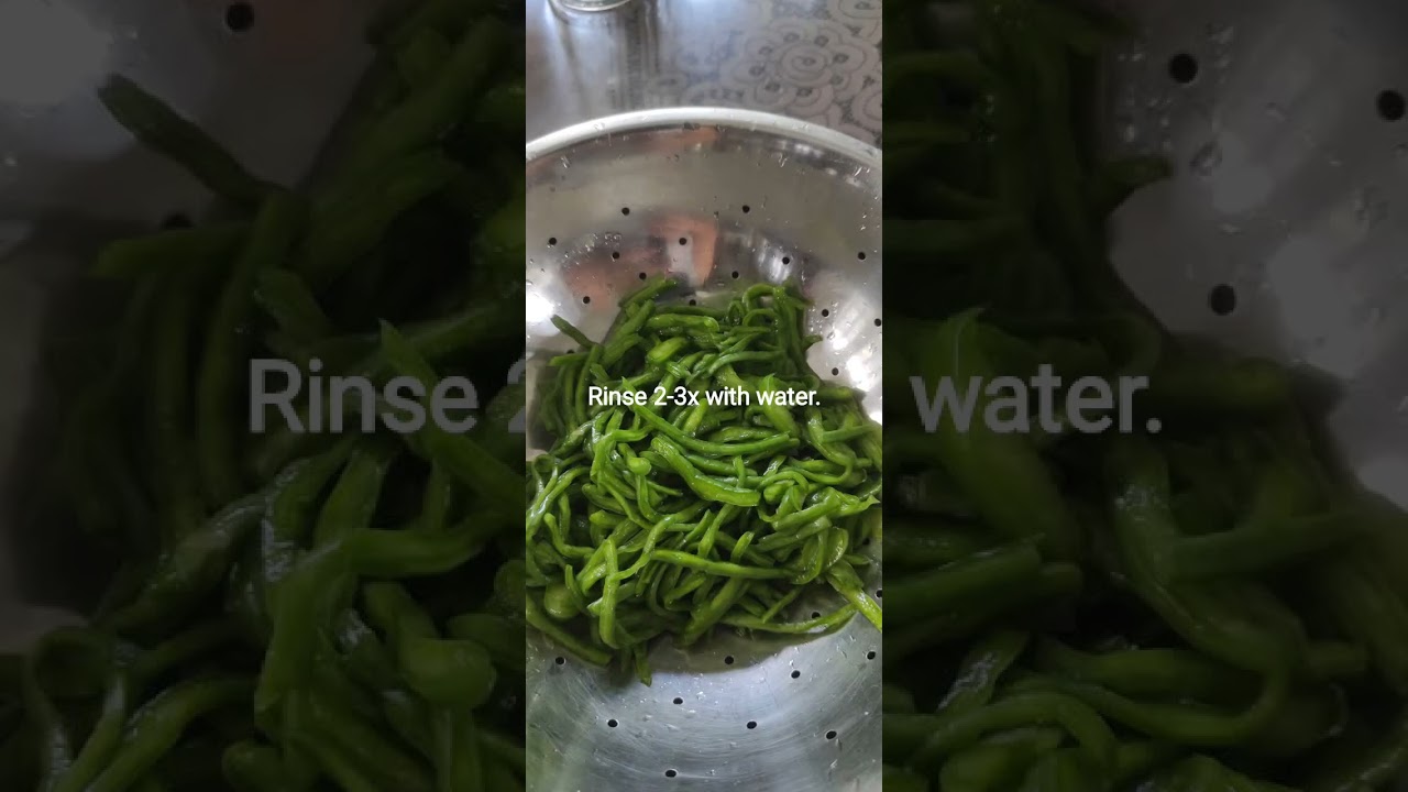 Cooking Prickly Pear Cactus Pads (Nopales)