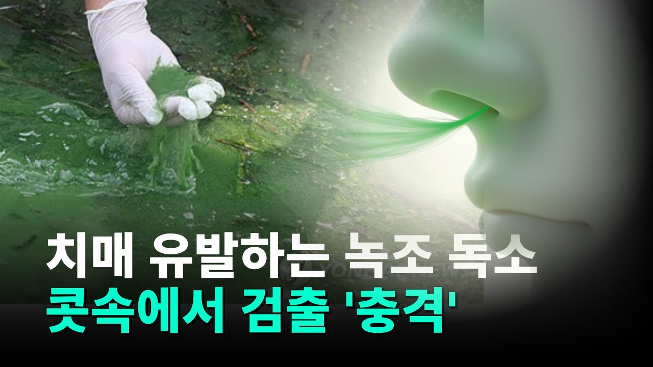 충격! 콧속에서 검출된 녹조 독소의 진실 [어쩐지 설명이 필요한 금요일밤] - 경남도민일보