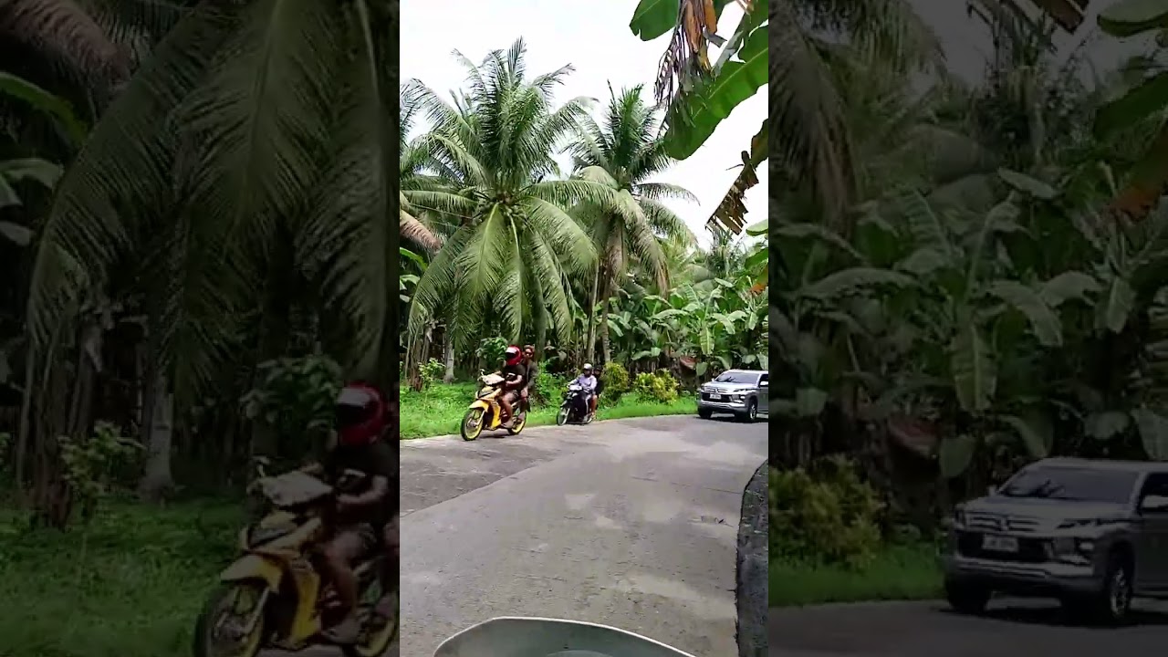 My Daily Moto Ride 166 Days