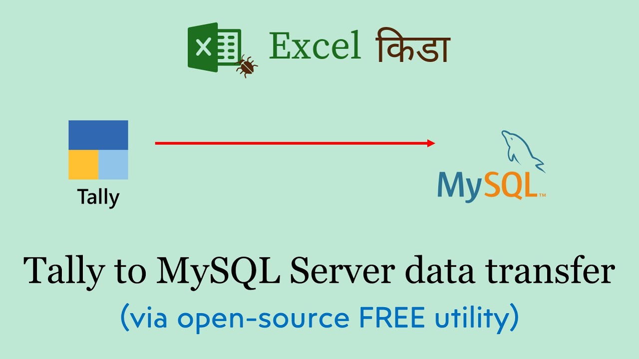 Tally to MySQL Server data transfer: Tutorial