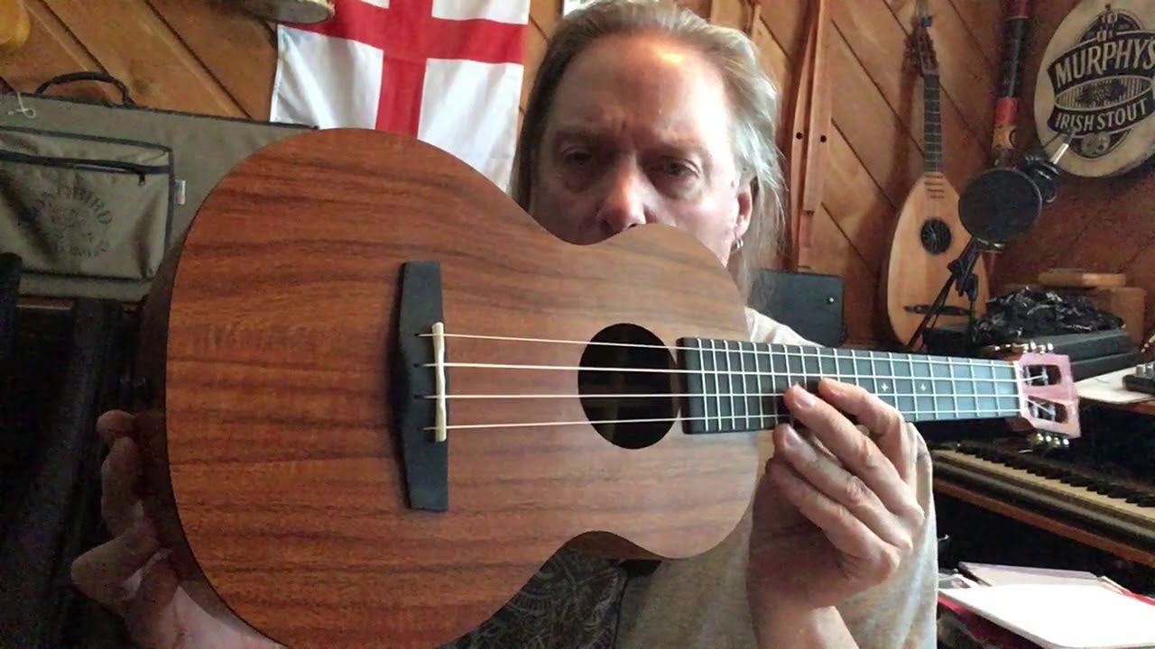 Enya EUT-X1 'Low G' Koa Tenor Ukulele