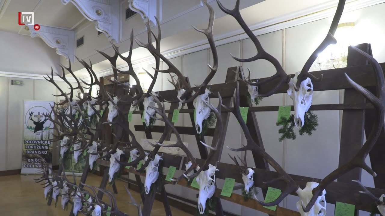 [2/12] Lesy v Levočských vrchoch a okolí opäť ponúkli hodnotné trofeje !  (21. 03. 2023)