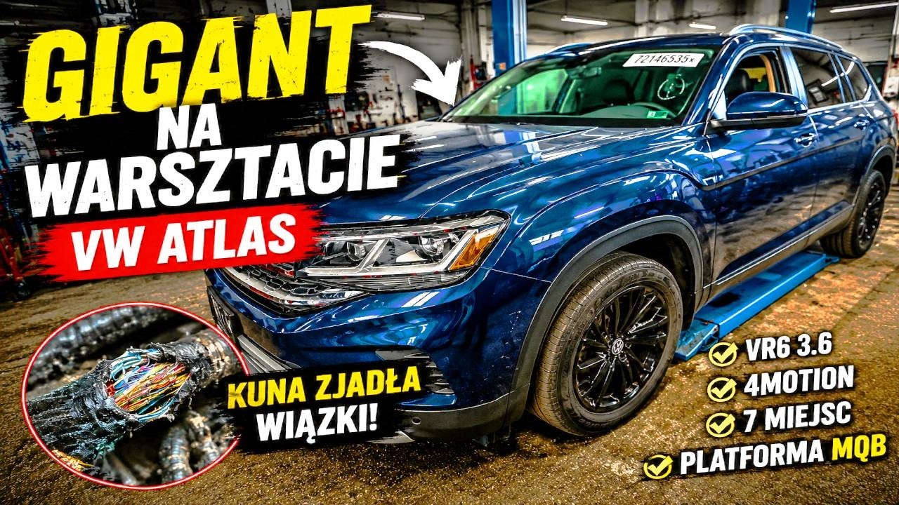 🔥 VW ATLAS VR6 &mdash; GIGANT z USA na warsztacie! Kuna zjadła całą instalację 😳