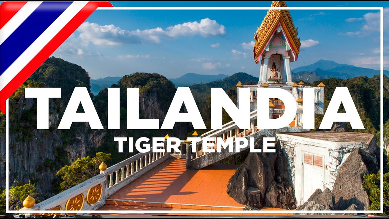 Tiger Temple en Krabi Tailandia y Tortilla Española