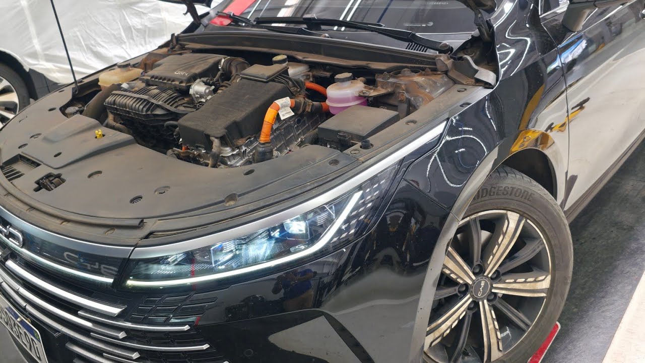 BYD King 96 mil km de revisão 
