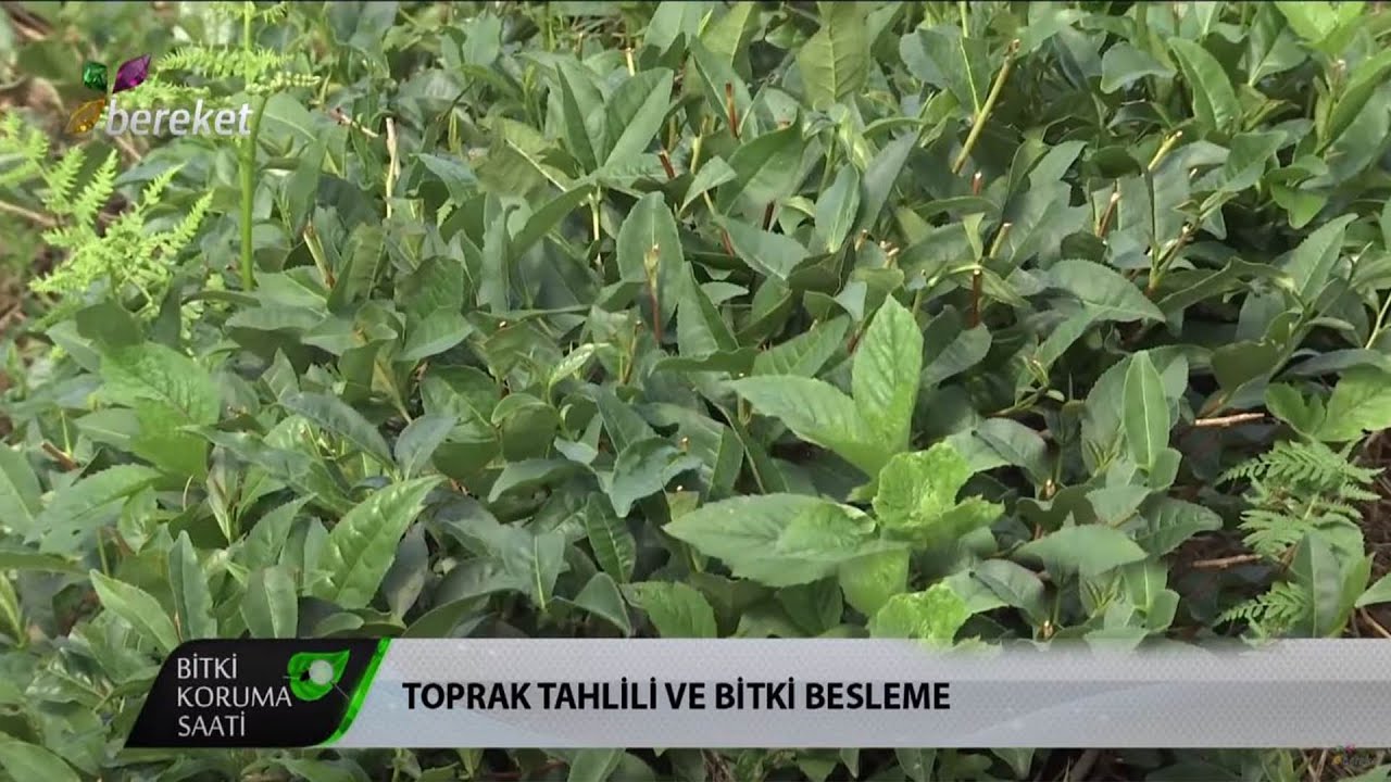 Bitki Koruma Saati - Toprak Tahlili ve Bitki Besleme / 2.Bölüm
