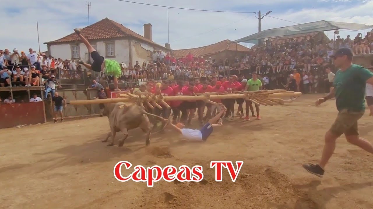 Susto Lageosa 2025