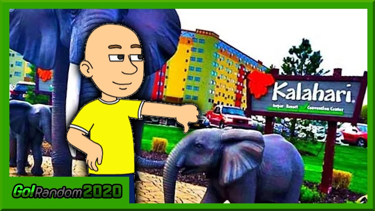(LAZINESS) Gayloo Misbehave At Kalahari Water Park Resort / Grounses