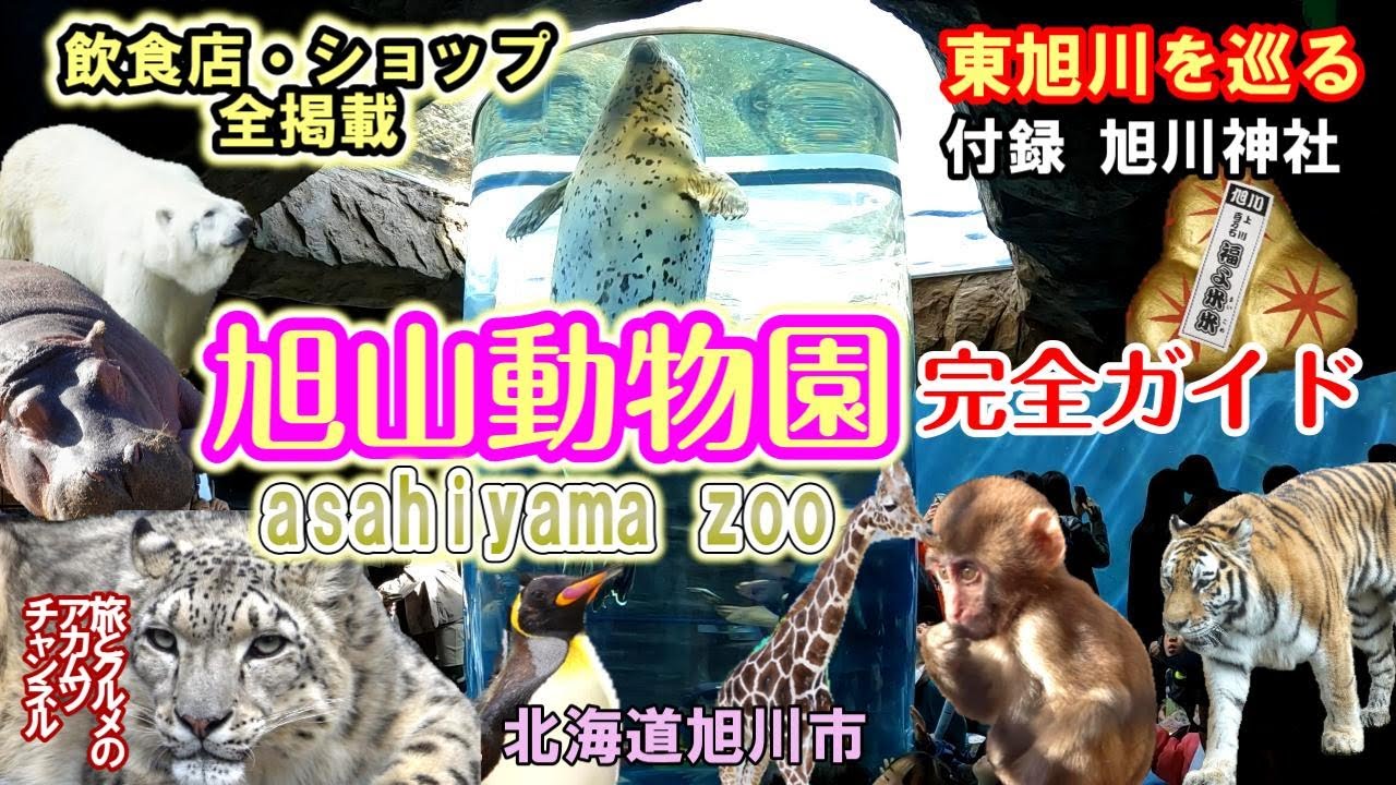 旭山動物園がこれを見ればわかります【旭山動物園完全ガイド】ー北海道旭川市東旭川