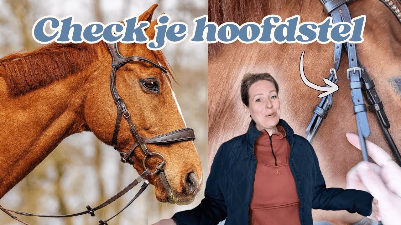 Jouw Perfecte Hoofdstel: Dit Moet Je Weten (En Wat Je Niet Moet Kopen!)