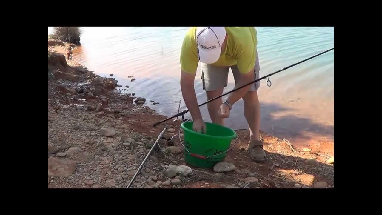 Carpas a fondo con cebador