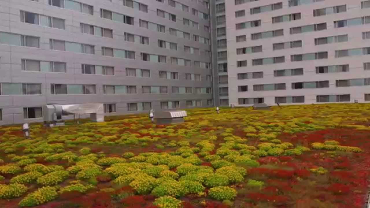 Washington DC Green Roof Rebate Program