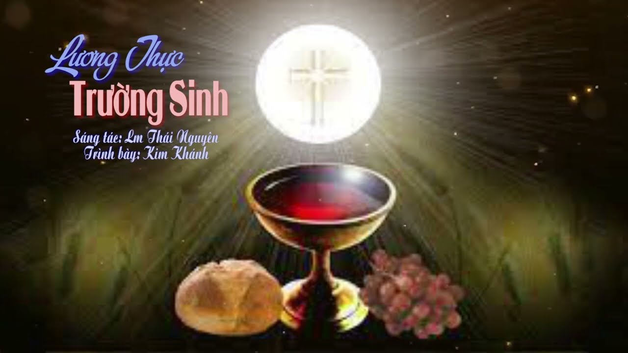 HIỆP LỄ: LƯƠNG THỰC TRƯỜNG SINH - LỄ MÌNH MÁU THÁNH CHÚA KITÔ & CHÚA NHẬT 20 TN B. Lm Thái Nguyên