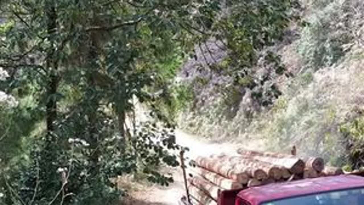 瓦格木料走一单😂