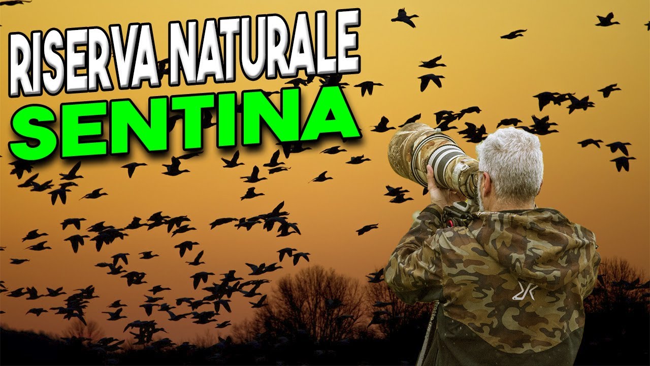 Riserva Naturale Sentina - 