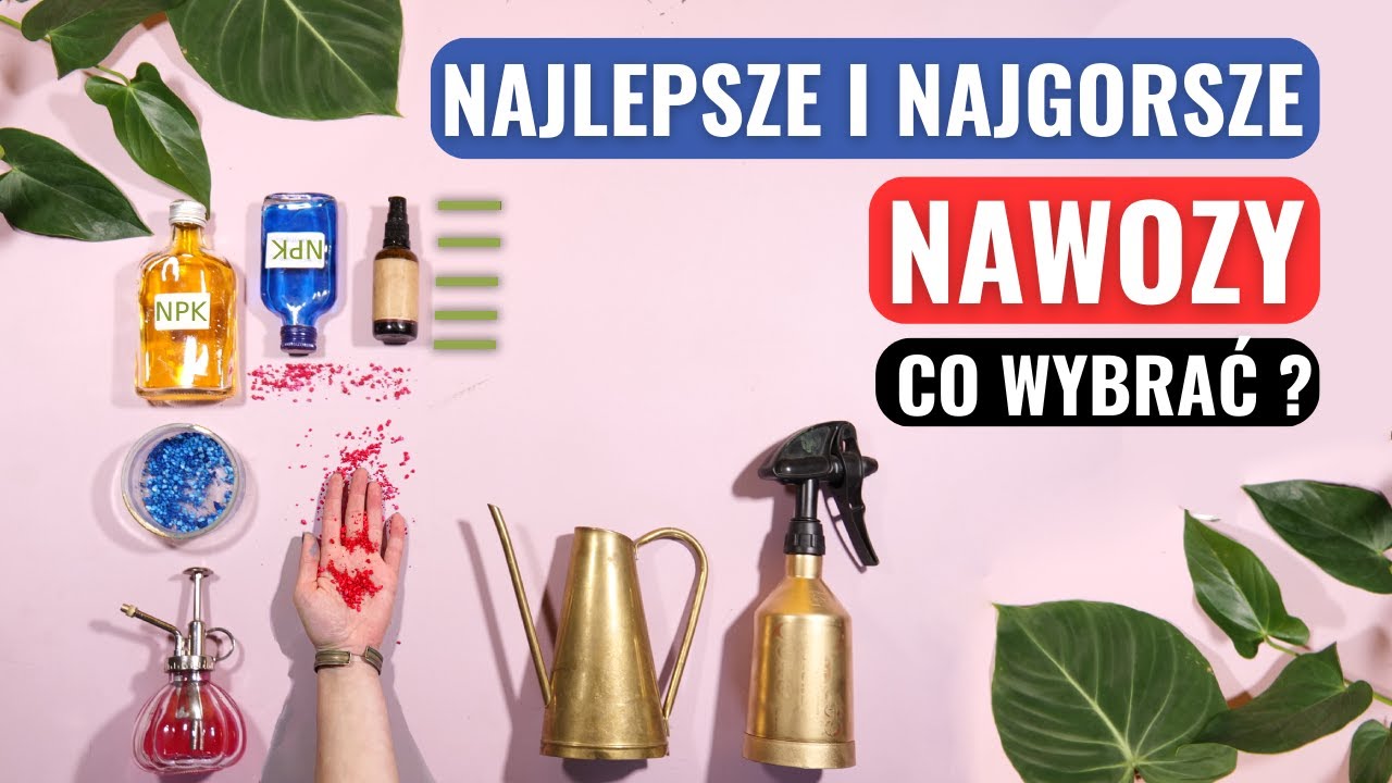 Najlepsze nawozy dla roślin domowych. Jaki nawóz wybrać? Nawożenie roślin, kwiatów doniczkowych