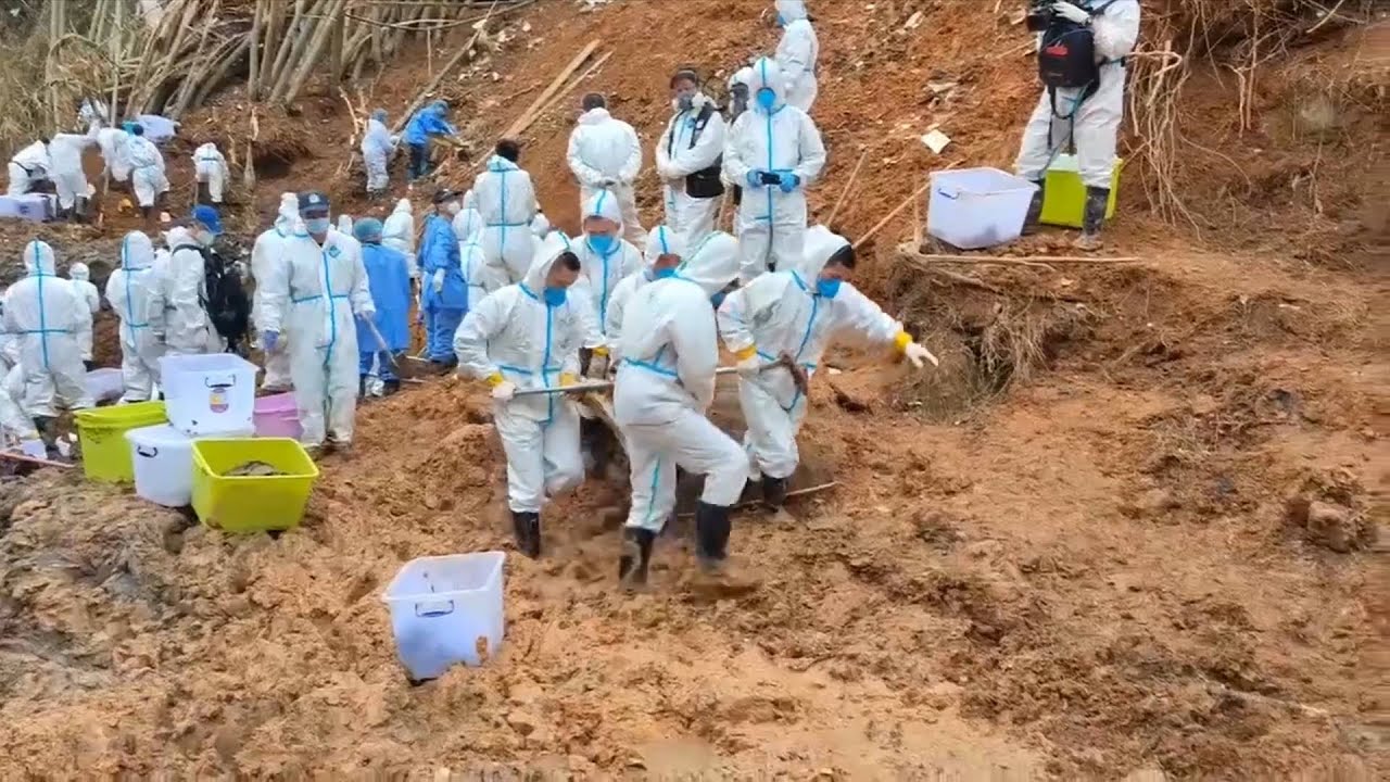 GLOBALink | China plane crash latest: Rescue operation continues on 5th day