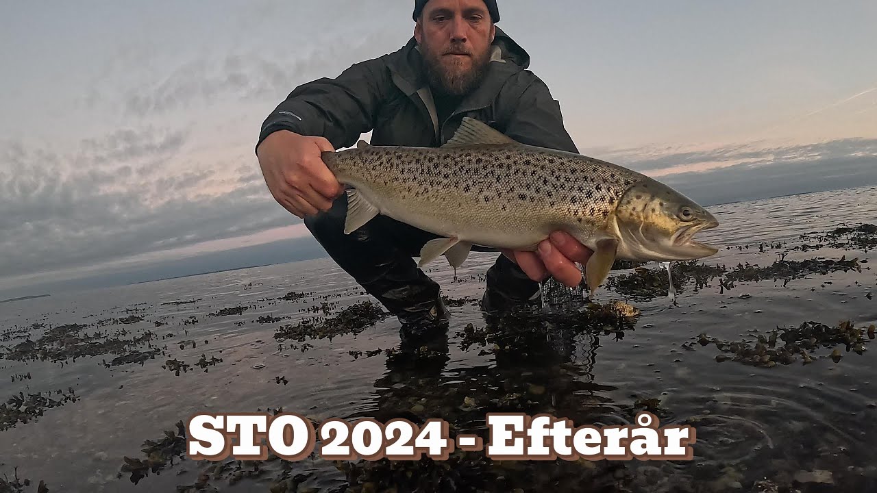 Seatrout open - 2024 Autumn