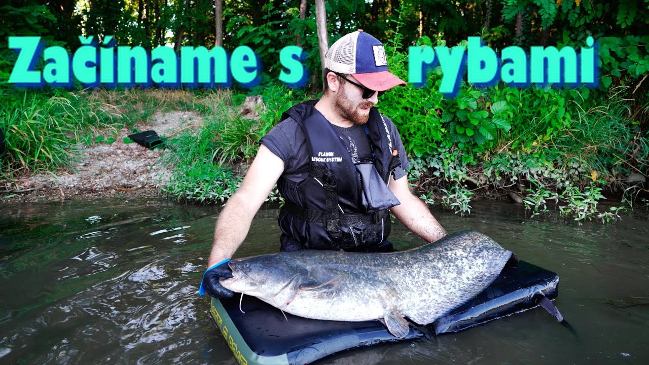 Začíname s rybami #1 / Povinná výbava!