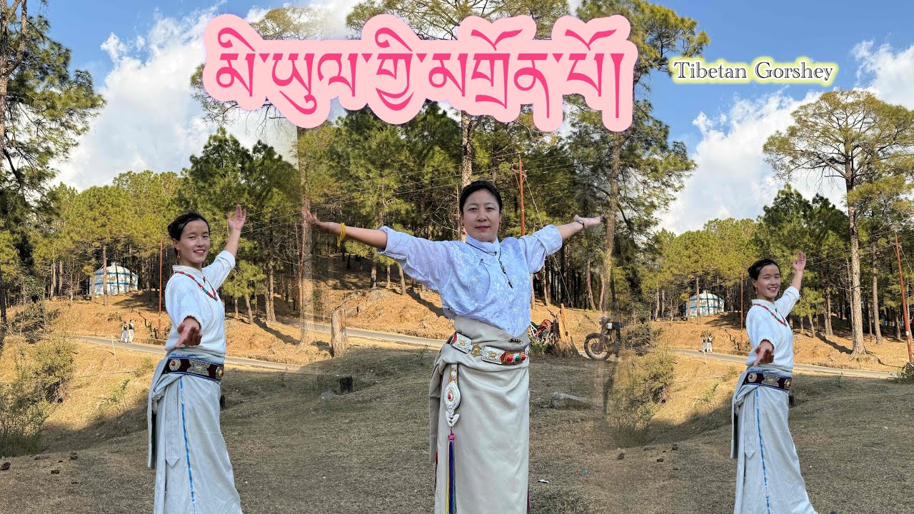 Tibetan Gorshey|| མི་ཡུལ་གྱི་མགྲོན་པོ།