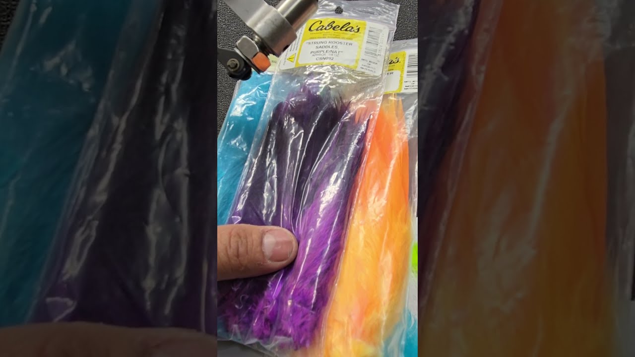 How to cut tail Feathers!!!