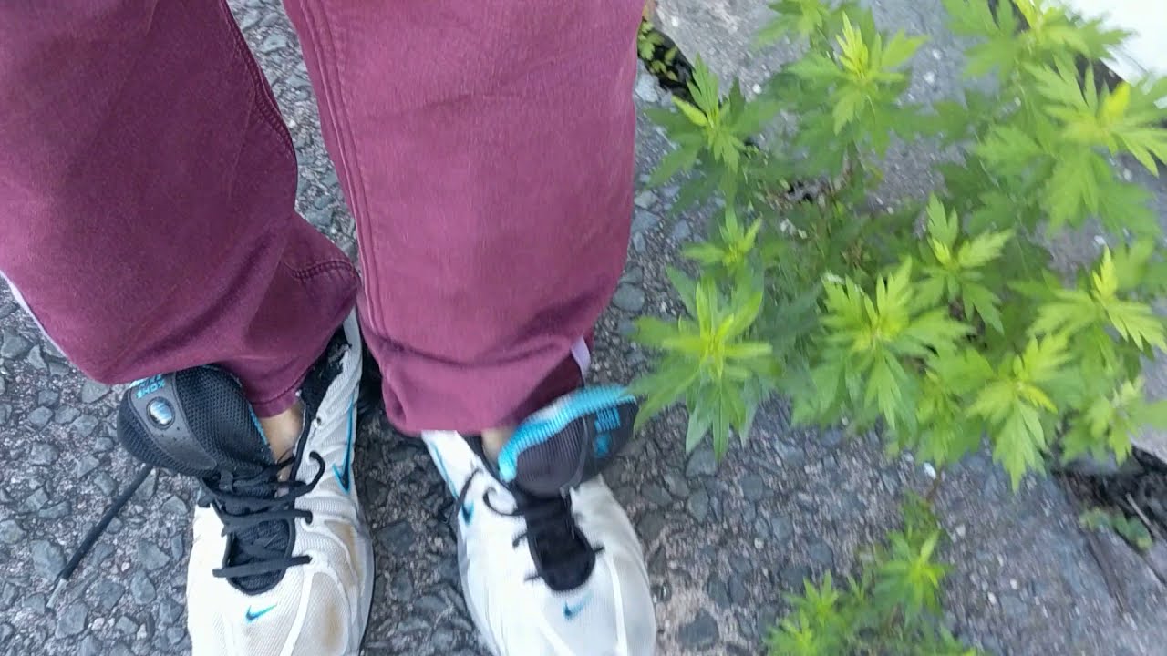 Nike Shox Running Shoes Morning Destruction Walk-1