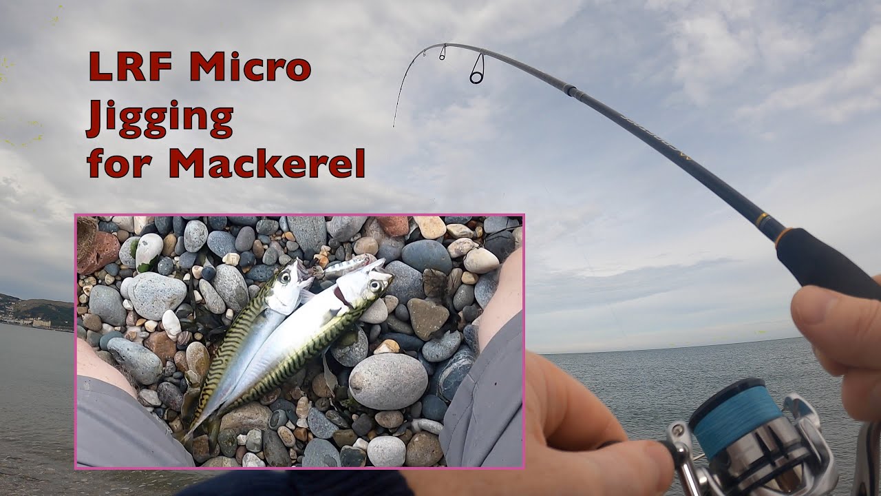 Mackerel Fishing on Light Gear using Metal Jigs