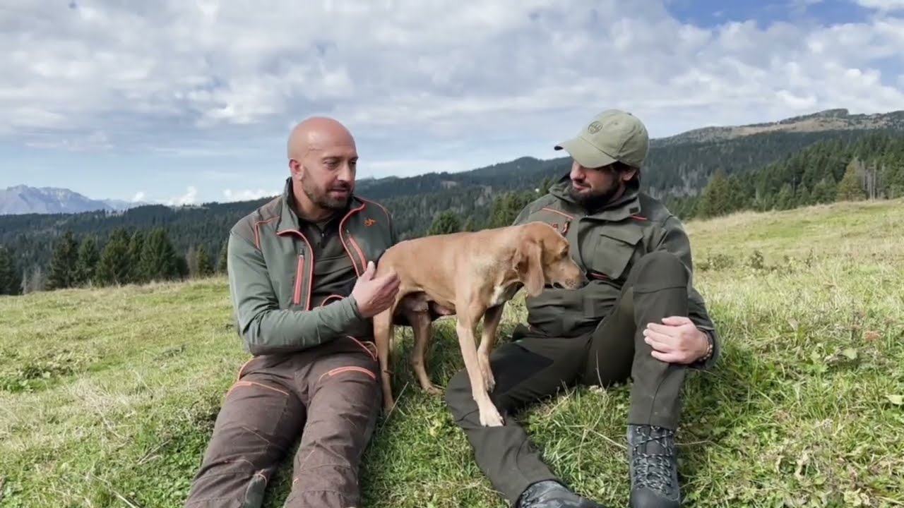 Caccia e cinofilia: alla lepre con il segugio dell'Appennino