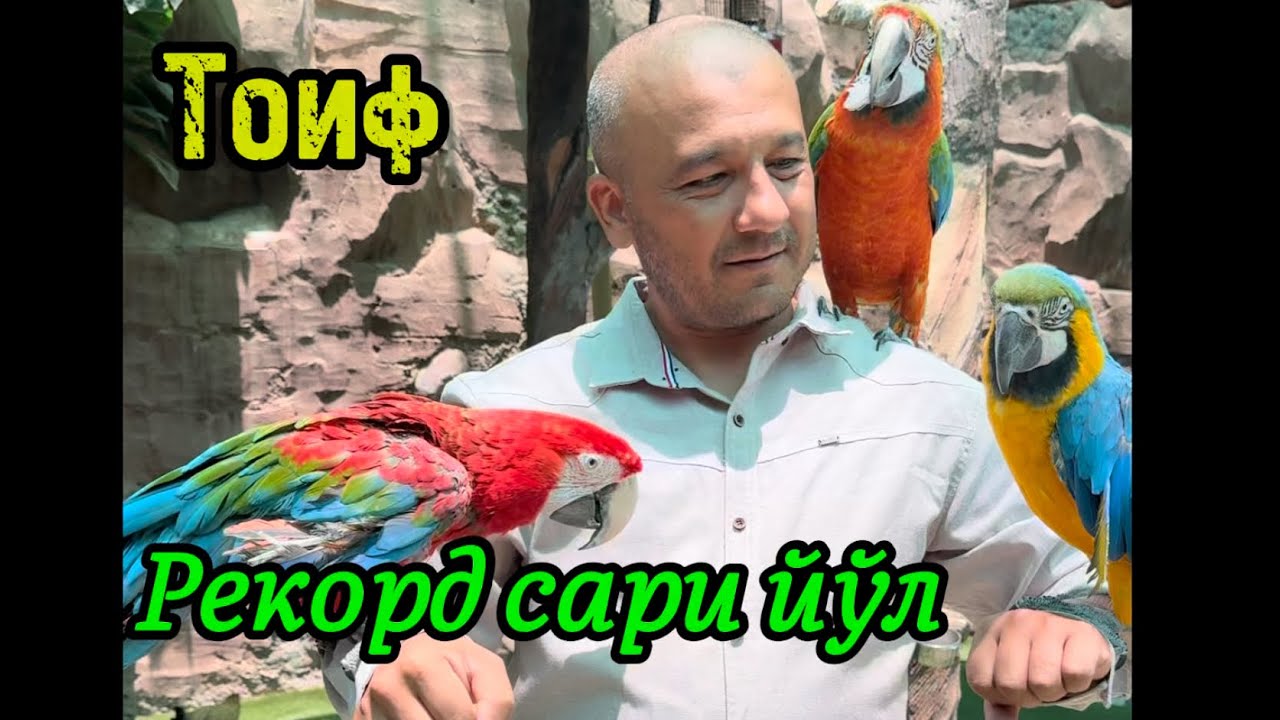 44-қисм. Саудия Арабистони Тоиф шахрига саёхат