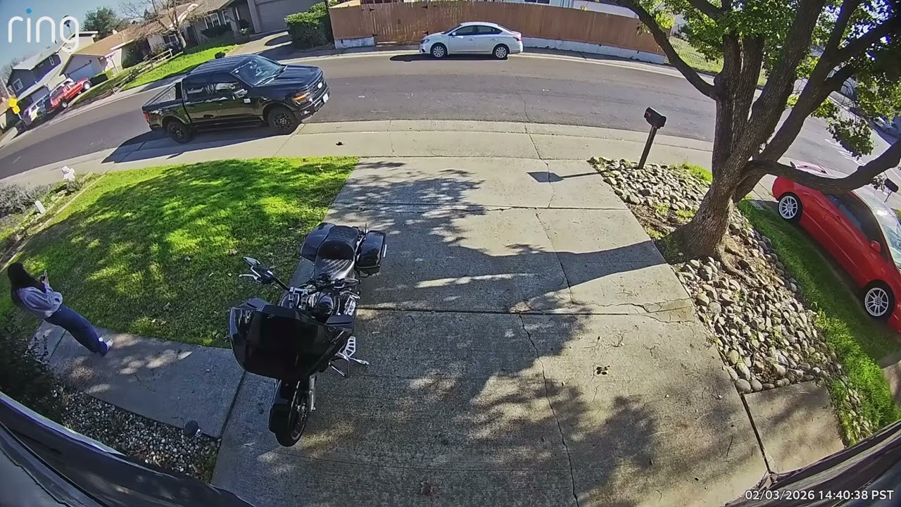 I told her not to lose my turtle…..let’s see what happens | Pure comedy