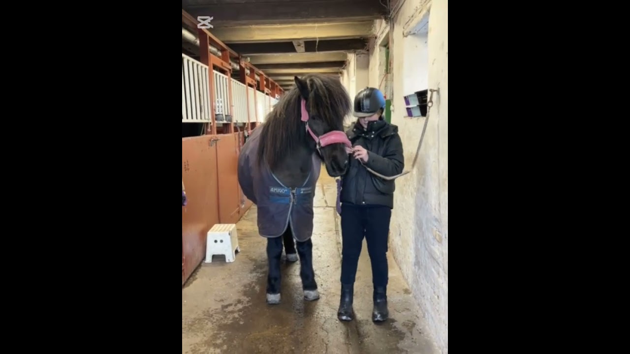 En Dag I Stalden 💗